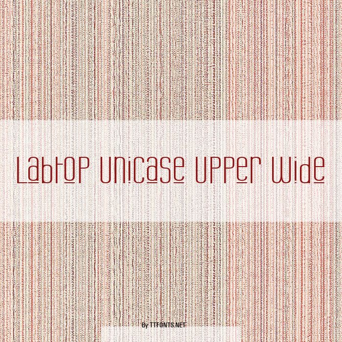 Labtop Unicase Upper Wide example